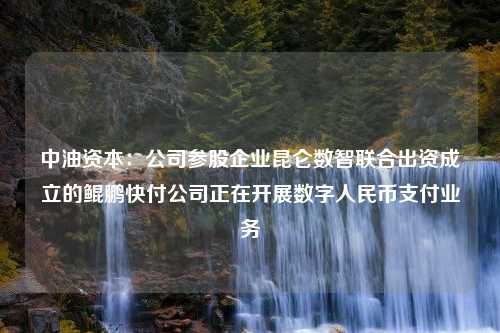 中油资本：公司参股企业昆仑数智联合出资成立的鲲鹏快付公司正在开展数字人民币支付业务