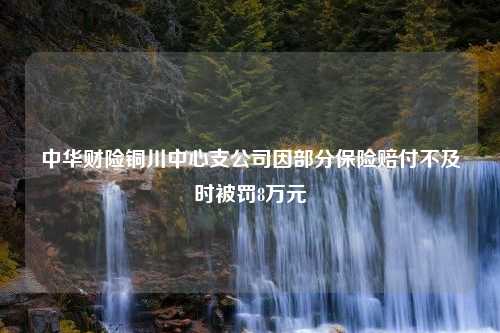 中华财险铜川中心支公司因部分保险赔付不及时被罚8万元