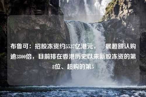 布鲁可：招股冻资约5537亿港元，孖展超额认购逾3800倍，目前排在香港历史以来新股冻资的第8位、超购的第5