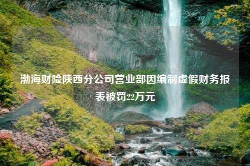 渤海财险陕西分公司营业部因编制虚假财务报表被罚22万元