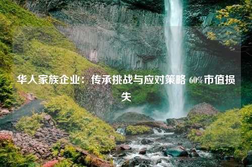 华人家族企业：传承挑战与应对策略 60%市值损失