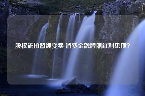 股权流拍暂缓变卖 消费金融牌照红利见顶？