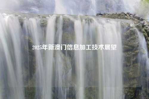 2025年新澳门信息加工技术展望