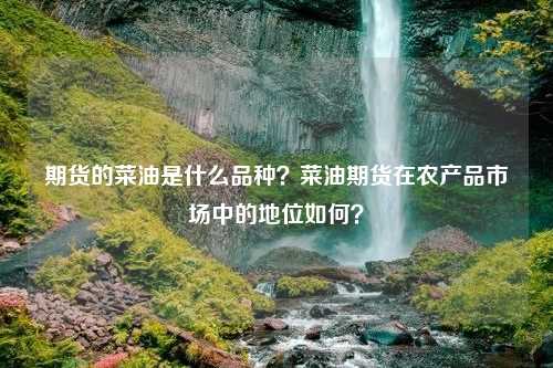 期货的菜油是什么品种？菜油期货在农产品市场中的地位如何？